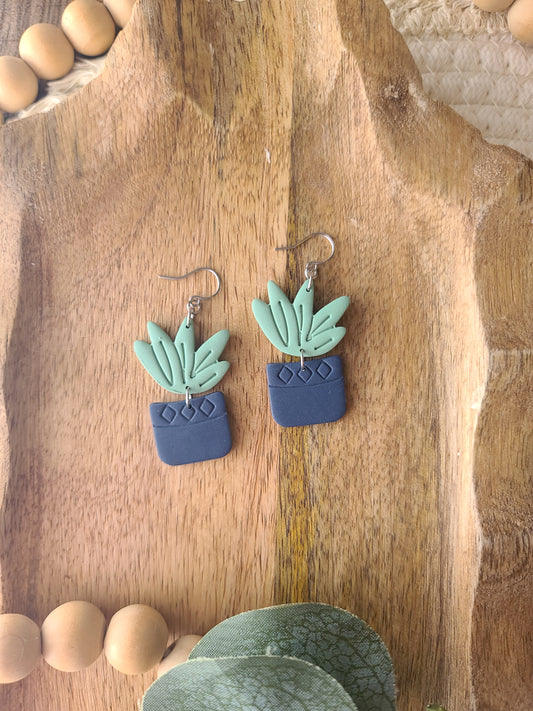 Succulent Planters