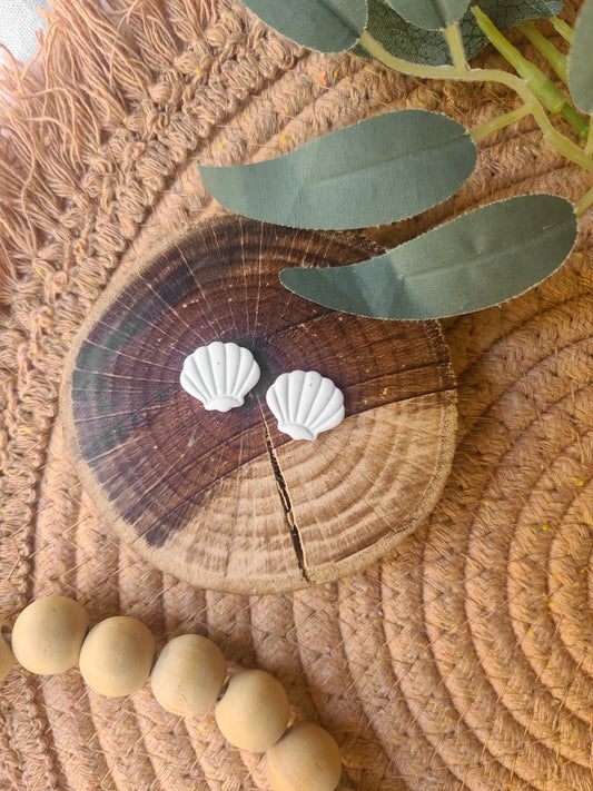Seashell studs