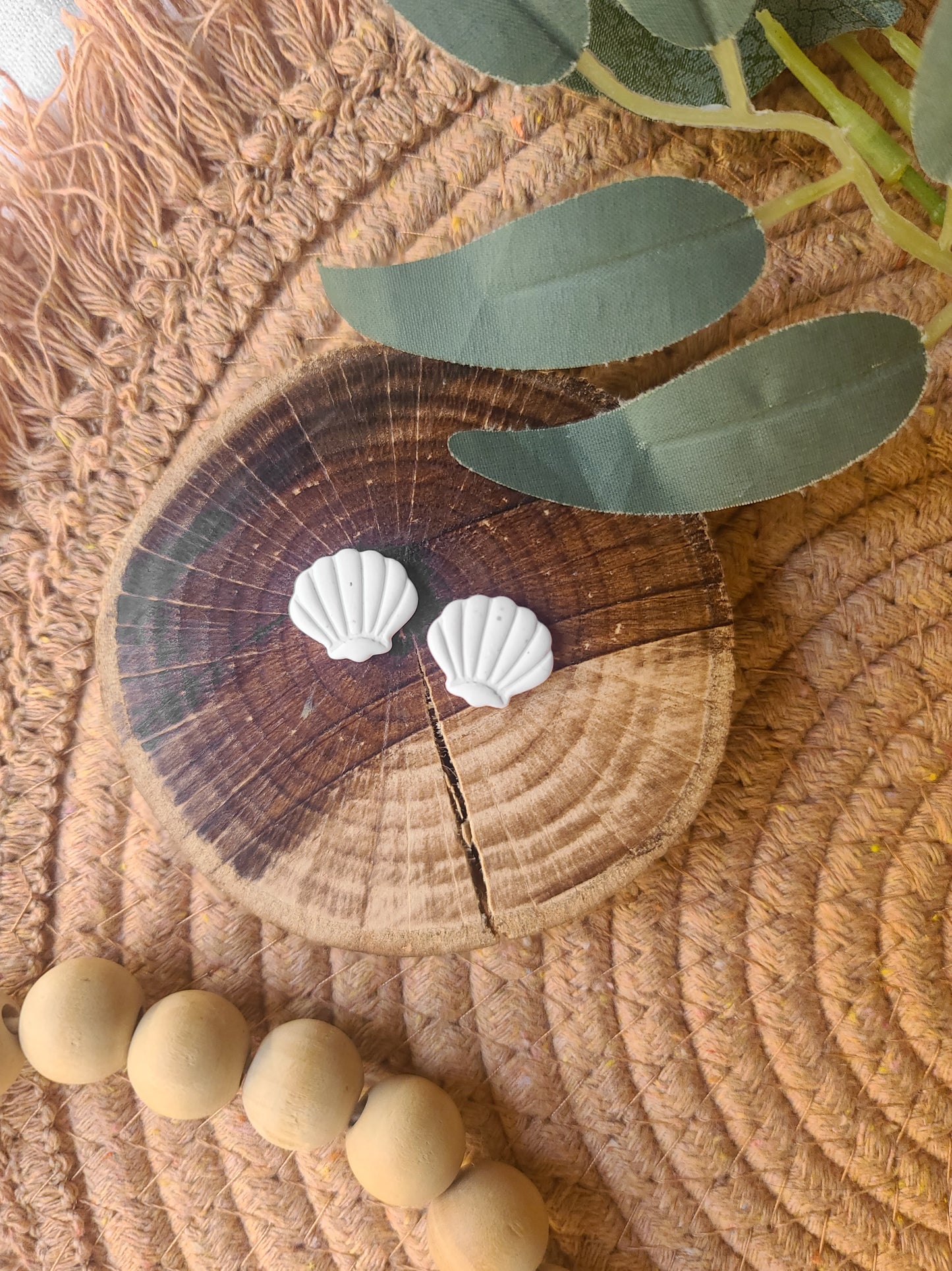 Seashell studs