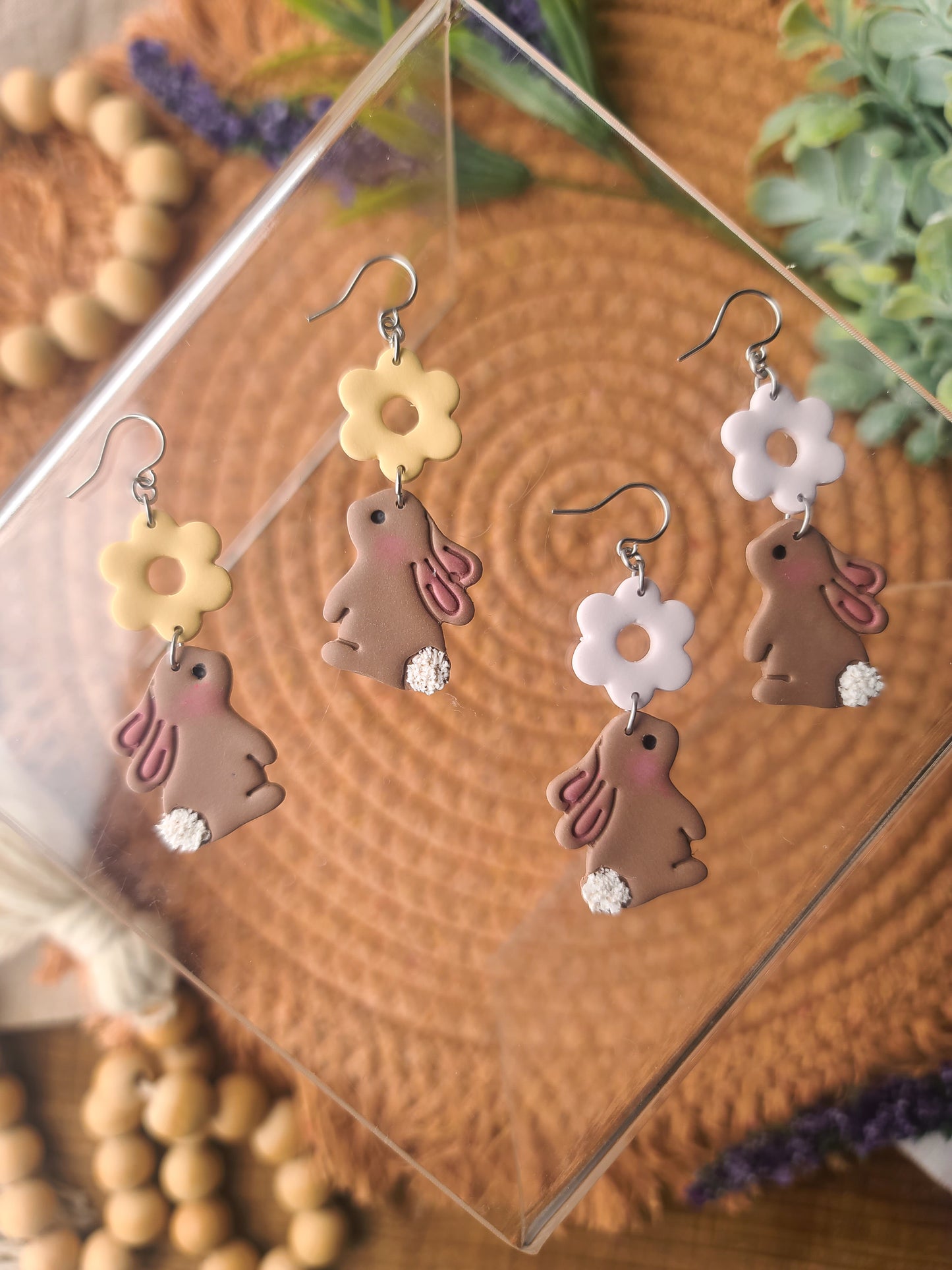 Brown Cottontail Bunnies