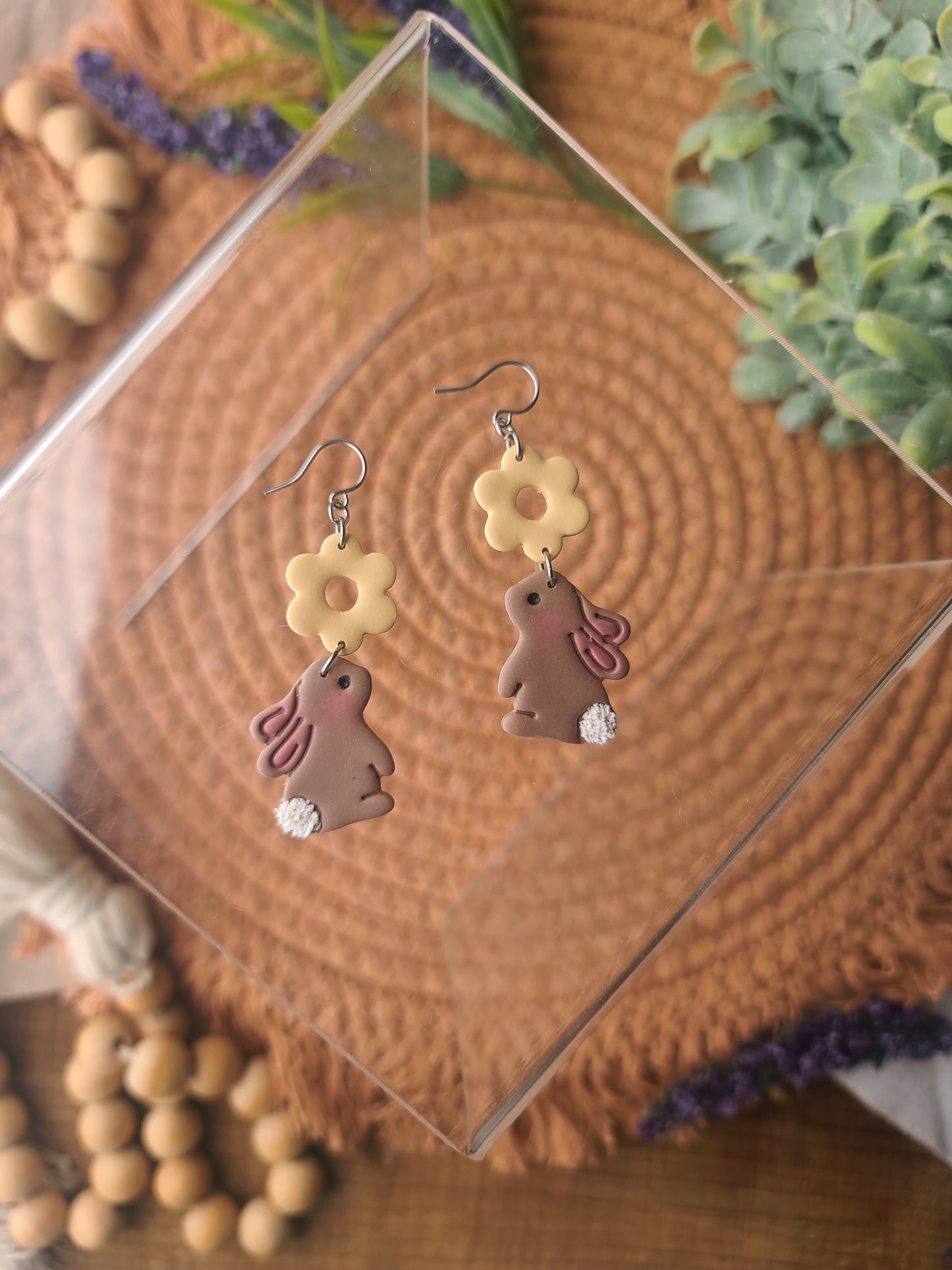 Brown Cottontail Bunnies